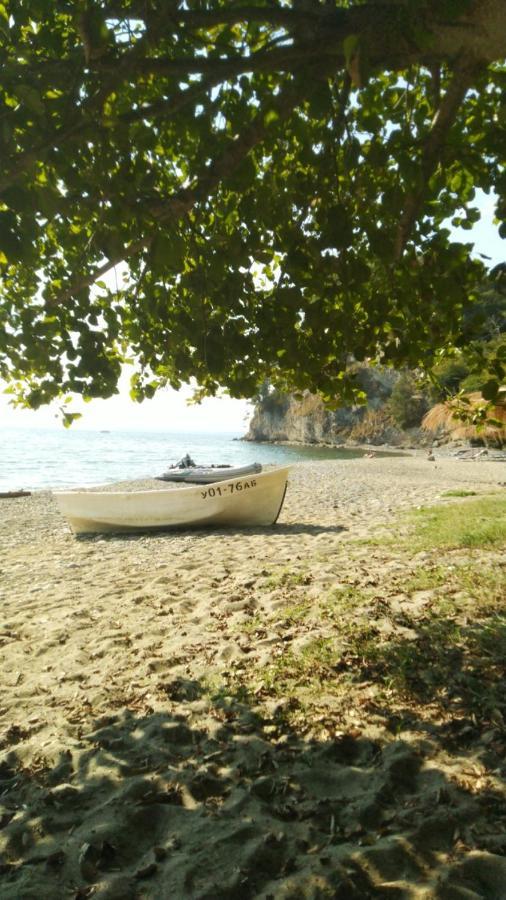 Shlypra Кемпинг Otel Pitsunda Dış mekan fotoğraf